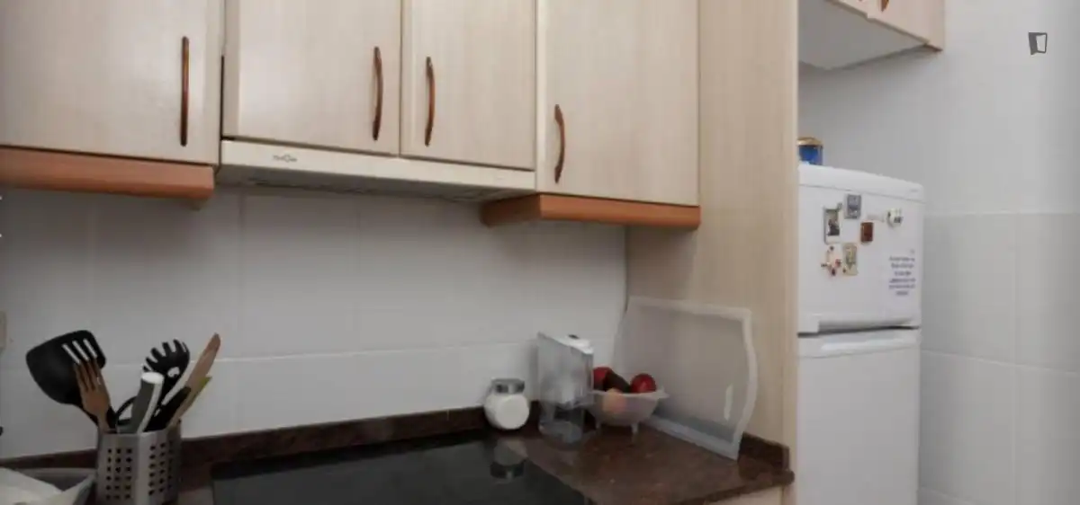 Cuina de Apartament per a compartir en  Barcelona Capital amb Calefacció, Moblat i Forn