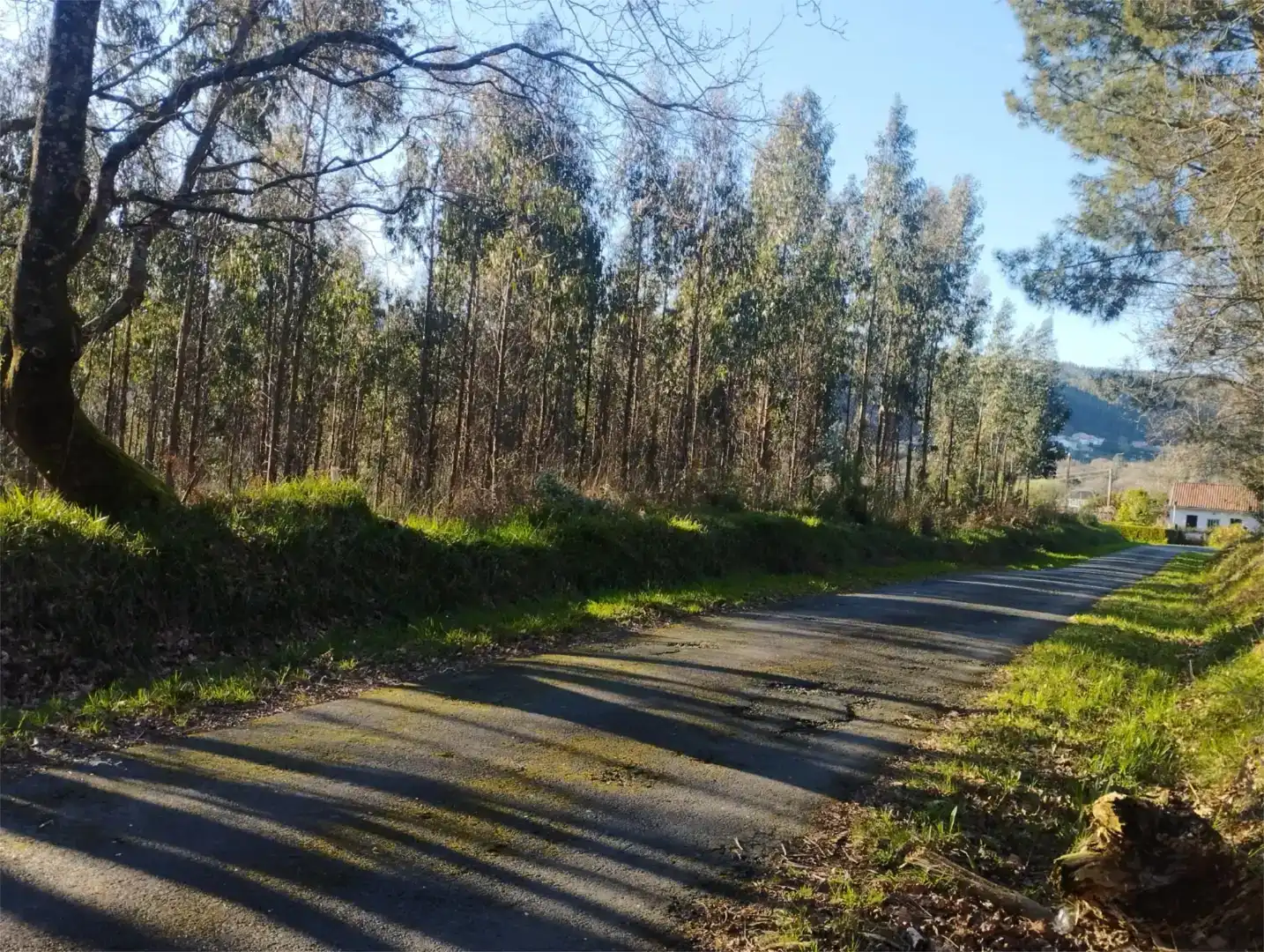 Vista exterior de Finca rústica de lloguer en Ferrol