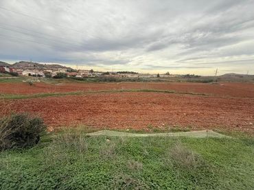 Terreno rustico in vendita a Pedanías Este