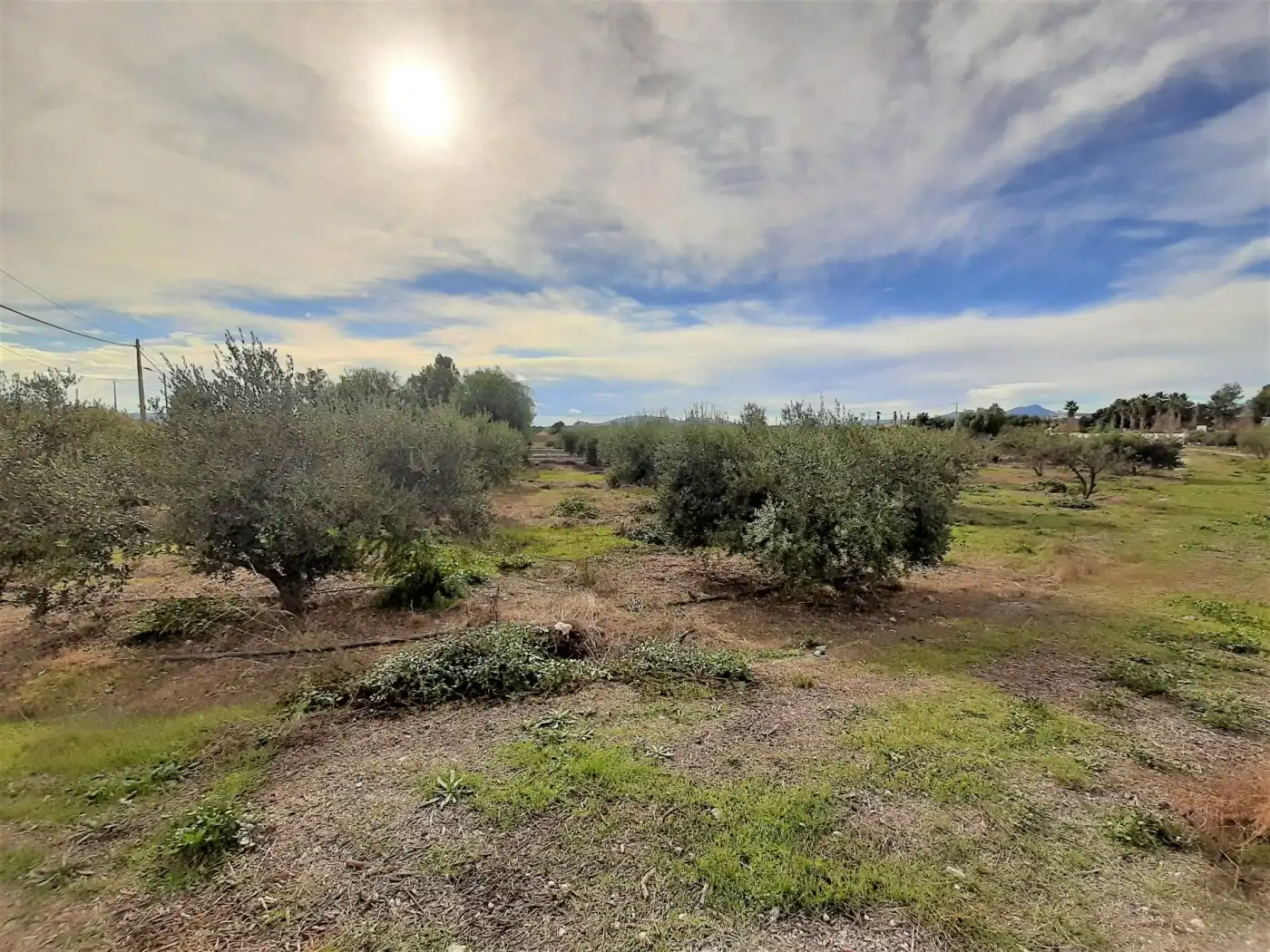 Wohnbaugrundstück zum Verkauf in Pedanías Centro, imagen 13