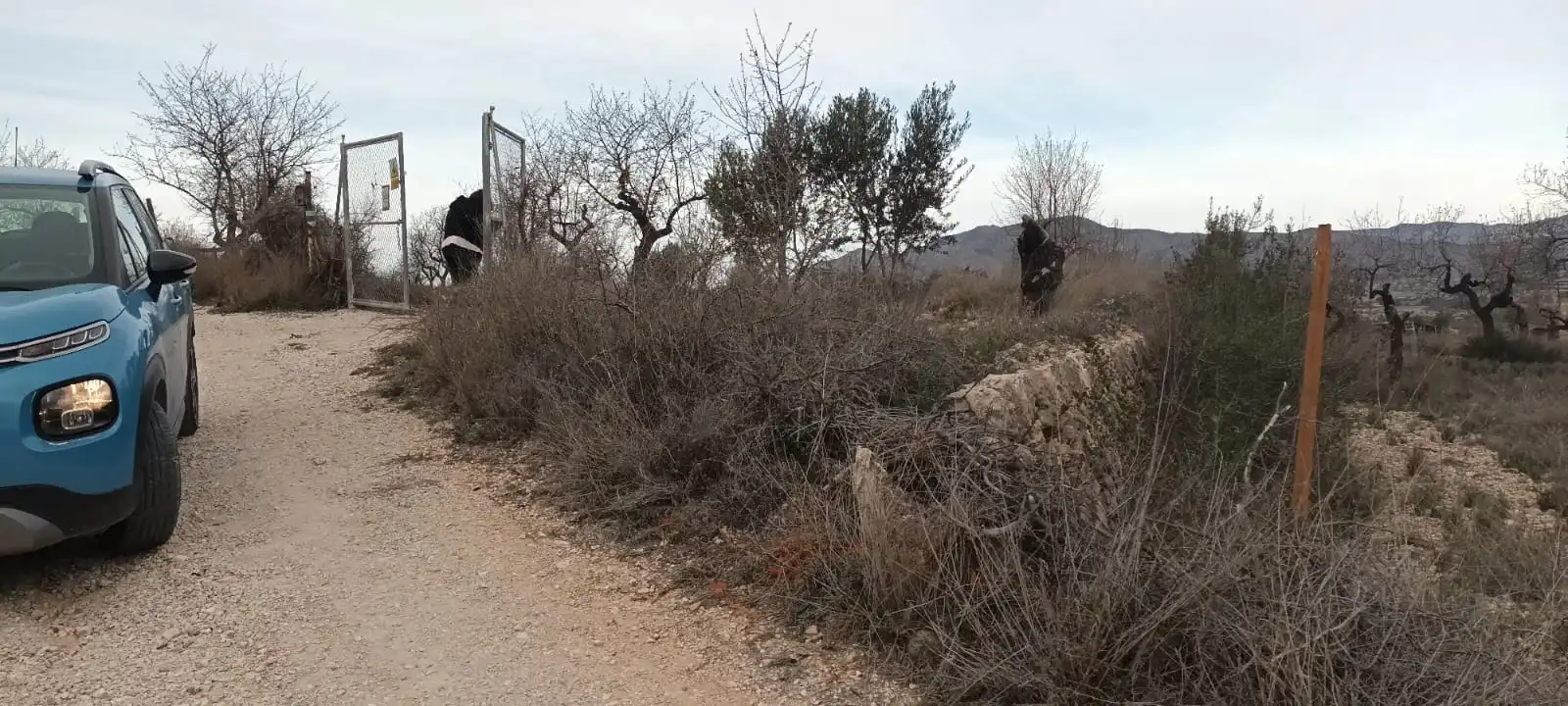 Terreno rustico in vendita a Calle Hondon de las Nieves, imagen 8