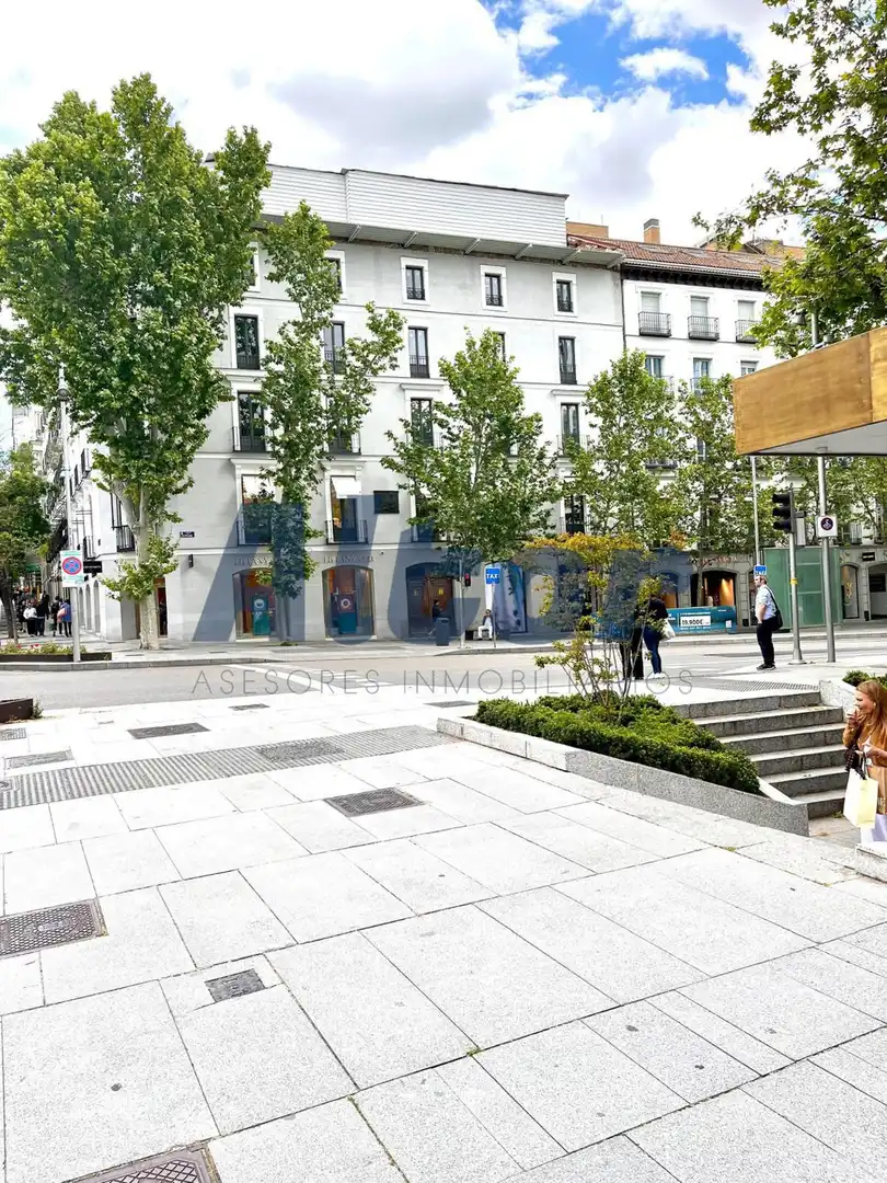 Pis amb ascensor de lloguer a serrano, imagen 23