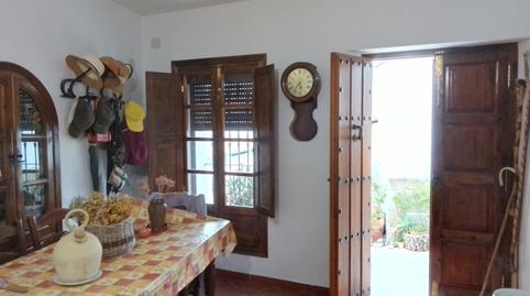 Foto 5 de Finca rústica en venda a Villaluenga del Rosario, Cádiz