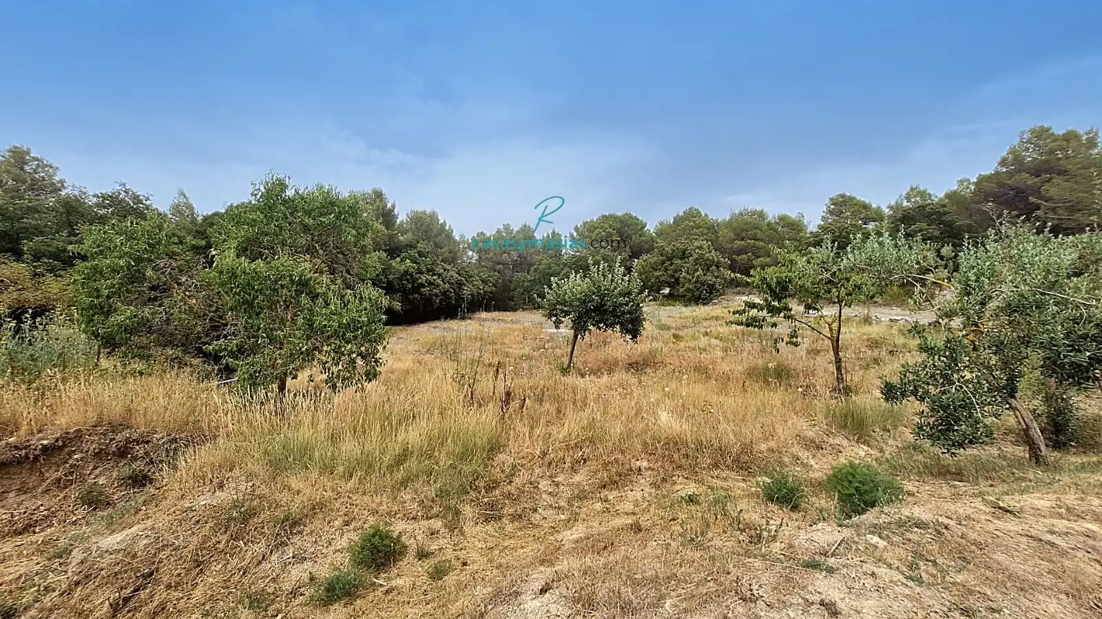 Finca rústica en venda en Sant Martí Sarroca amb Calefacció, Jardí privat i Parquet