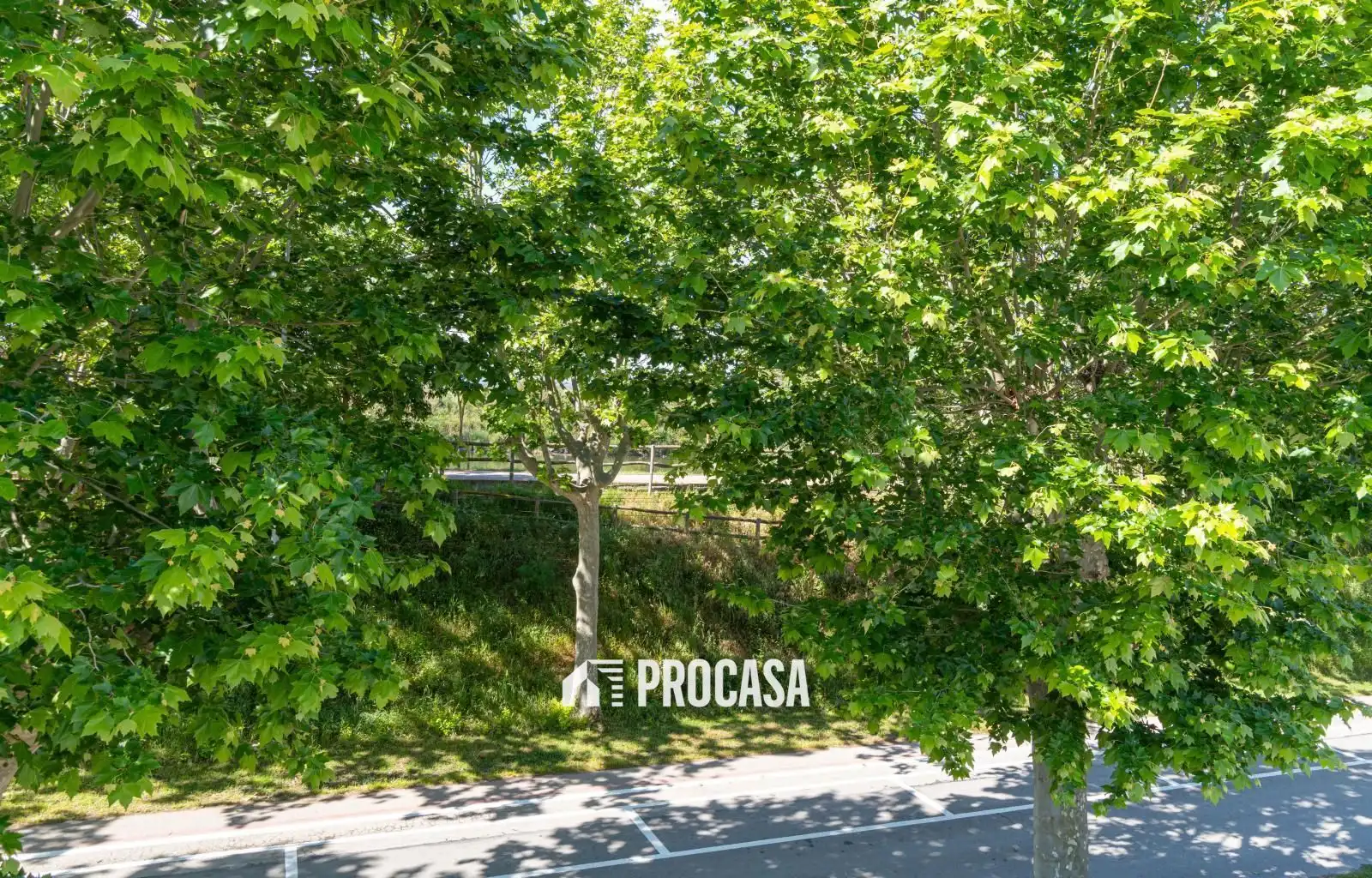 Detached house with pool for sale in MONTGRÍ, imagen 62