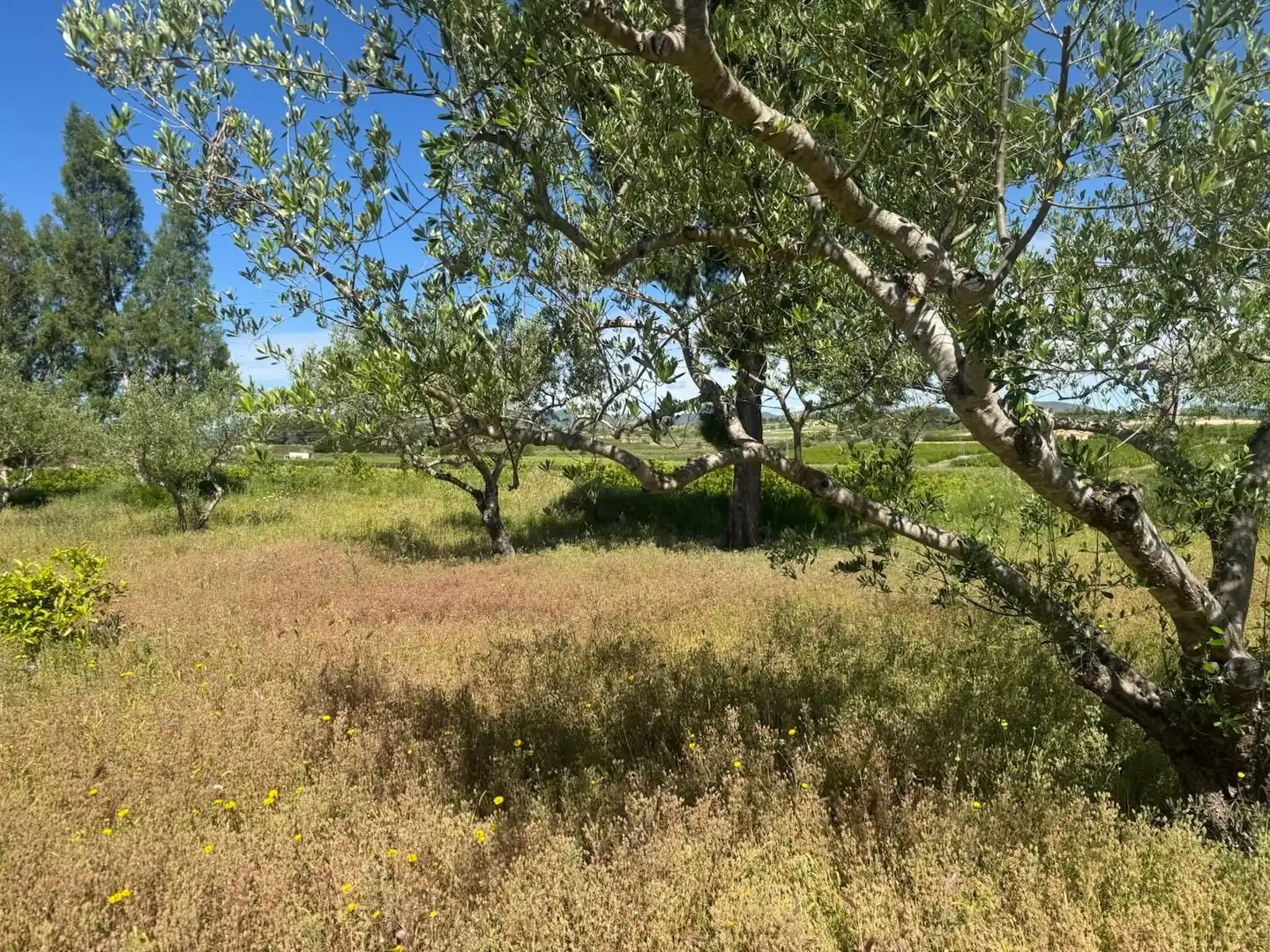 Maison rustique avec piscine à vendre à Albaida, imagen 24