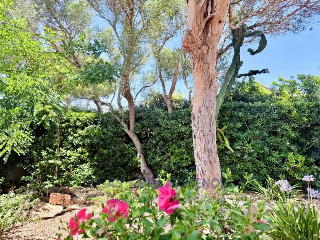 Jardí de Casa adosada en venda en Es Mercadal