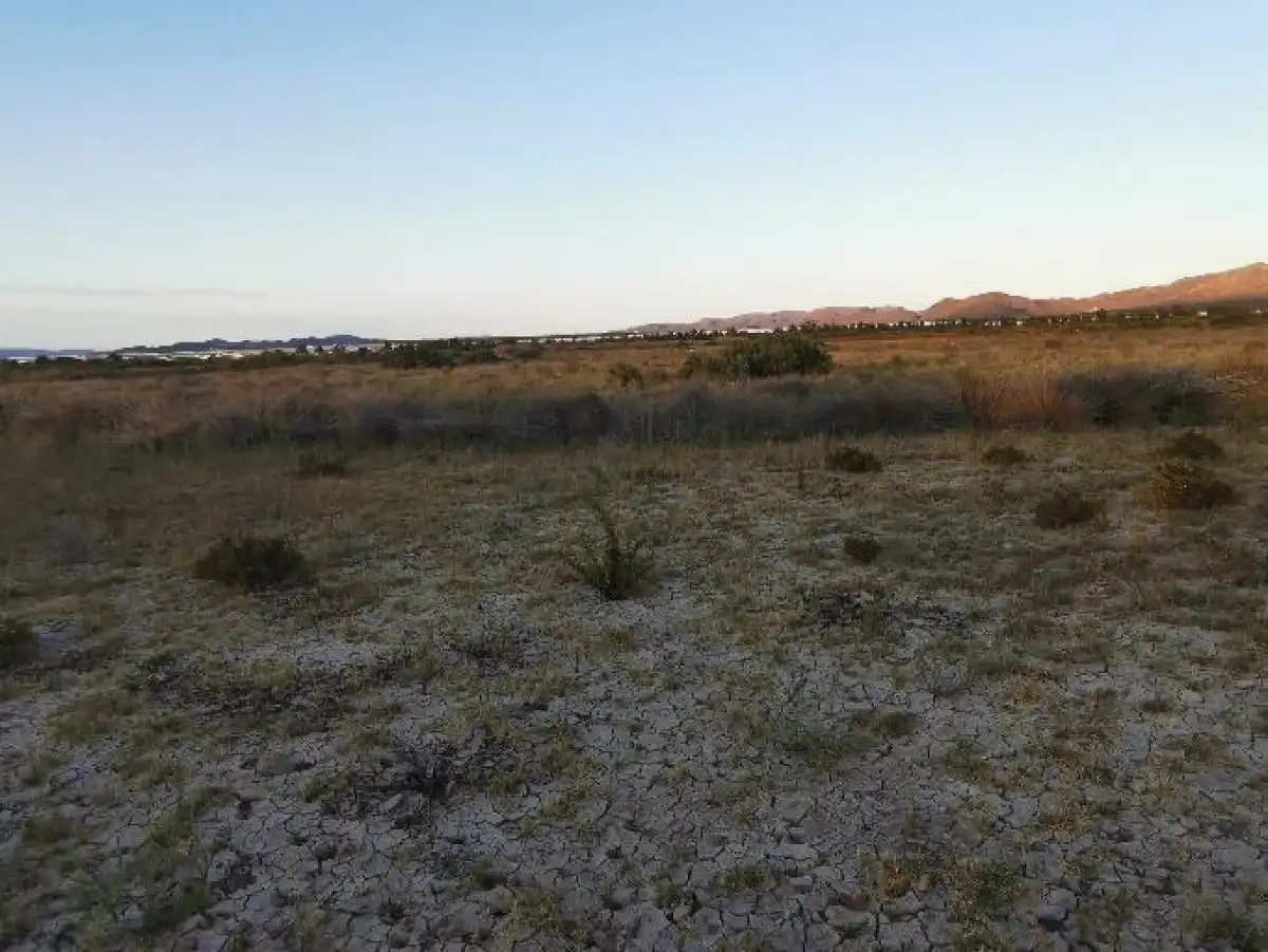 Terreno rustico in vendita a Camino LOS HUERTOS, imagen 44
