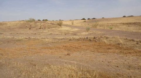 Foto 3 von Residential zum Verkauf in Charnecales, Villagarcía de la Torre, Badajoz