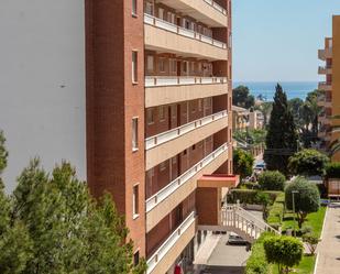 Exterior view of Flat for sale in Torrevieja  with Private garden, Terrace and Balcony