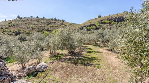 Foto 2 von Grundstücke zum Verkauf in Lúcar, Almería