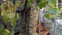 Garden of House or chalet for sale in Almendros