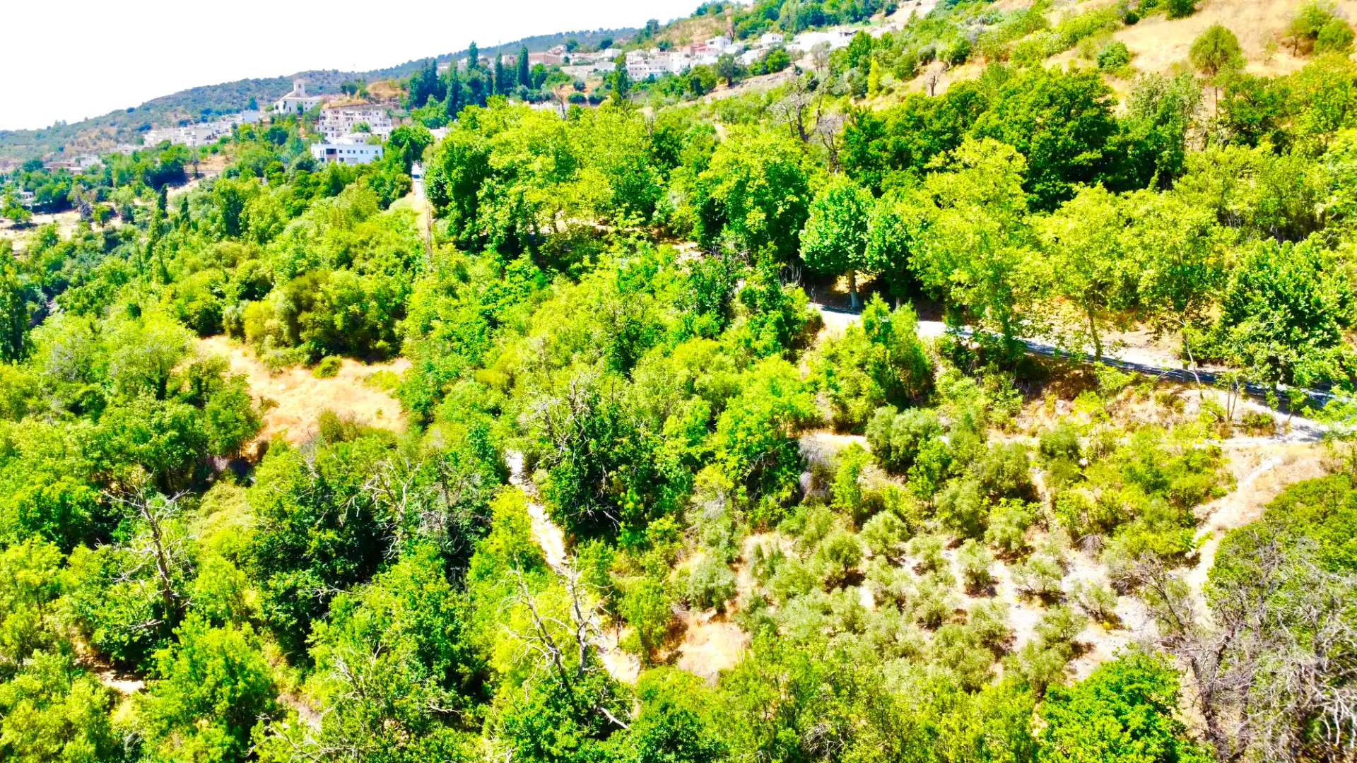 Vista exterior de Finca rústica en venta en Alpujarra de la Sierra