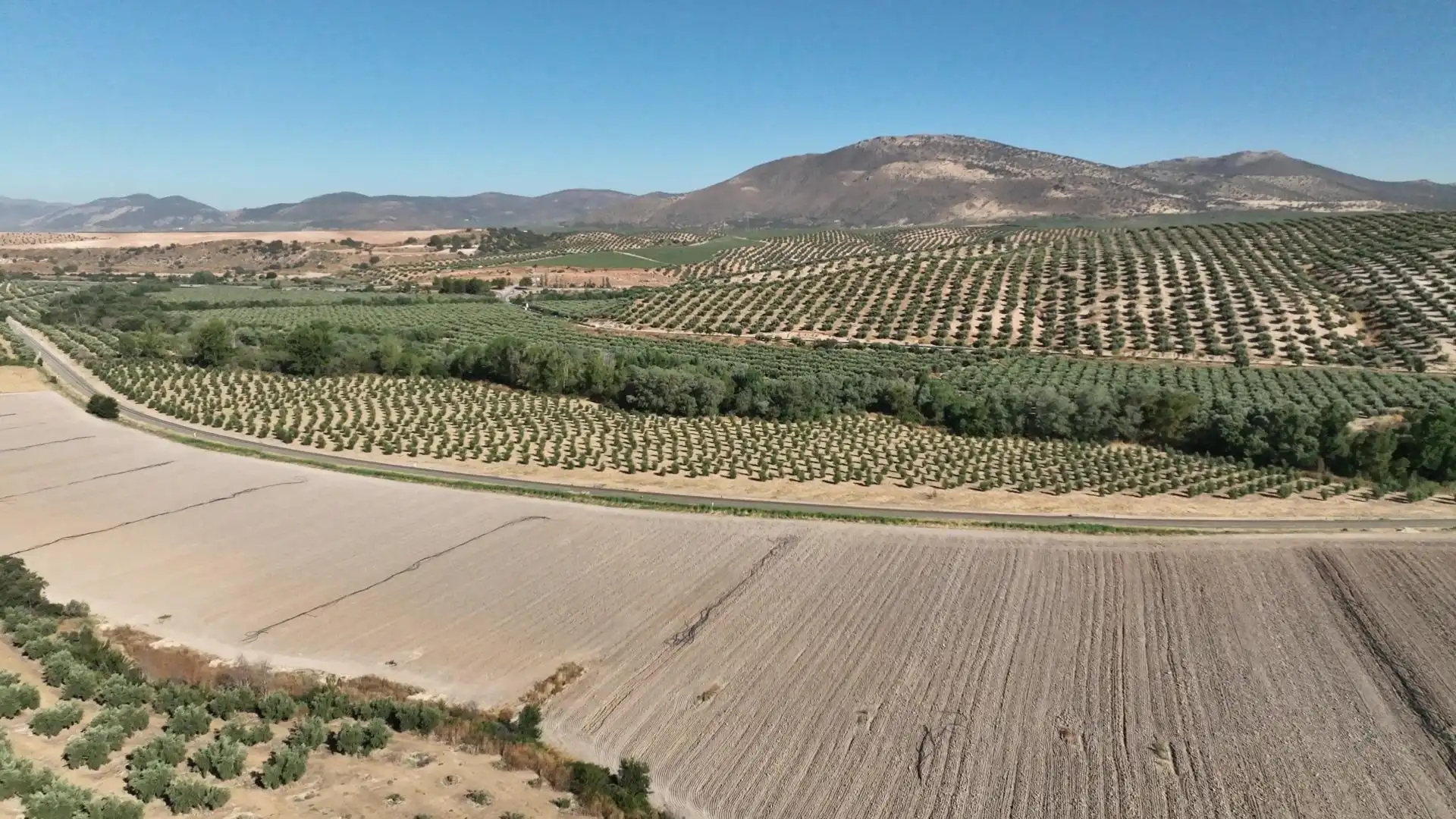 Terreni e lotti in vendita a Albolote, imagen 23