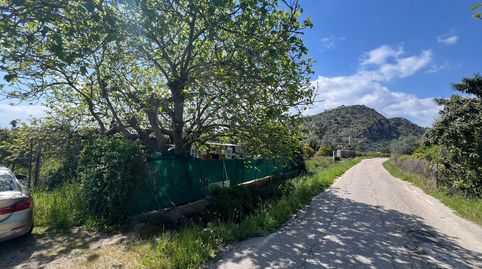 Foto 3 de Finca rústica en venta en Urbanizaciones, Gandia