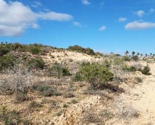 Land for sale in  Murcia Capital