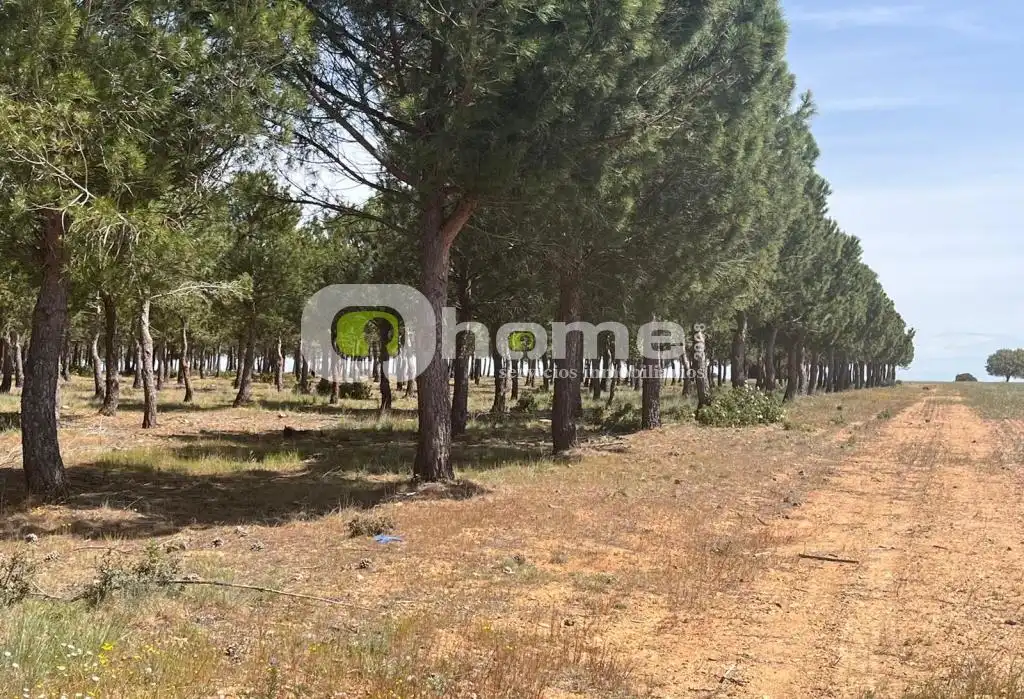Terreno en venta en Granja de Moreruela
