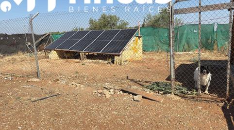 Foto 4 de Finca rústica en venda a  Polígono 7 Paraje 32 Dehesa Yegua, 21, Los Molares, Sevilla