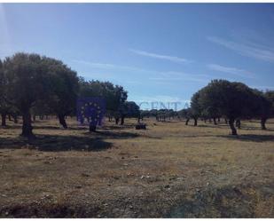 Finca rústica en venda en Arroyomolinos (Cáceres)