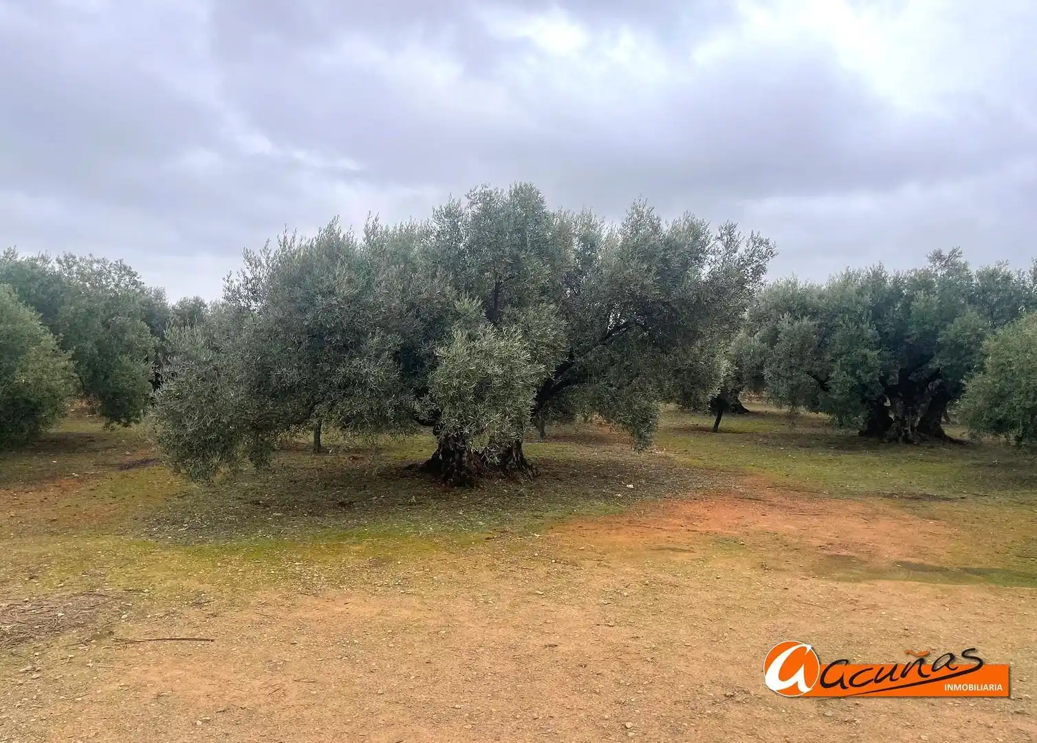 Terrenos y solares en venta en Alameda, imagen 26