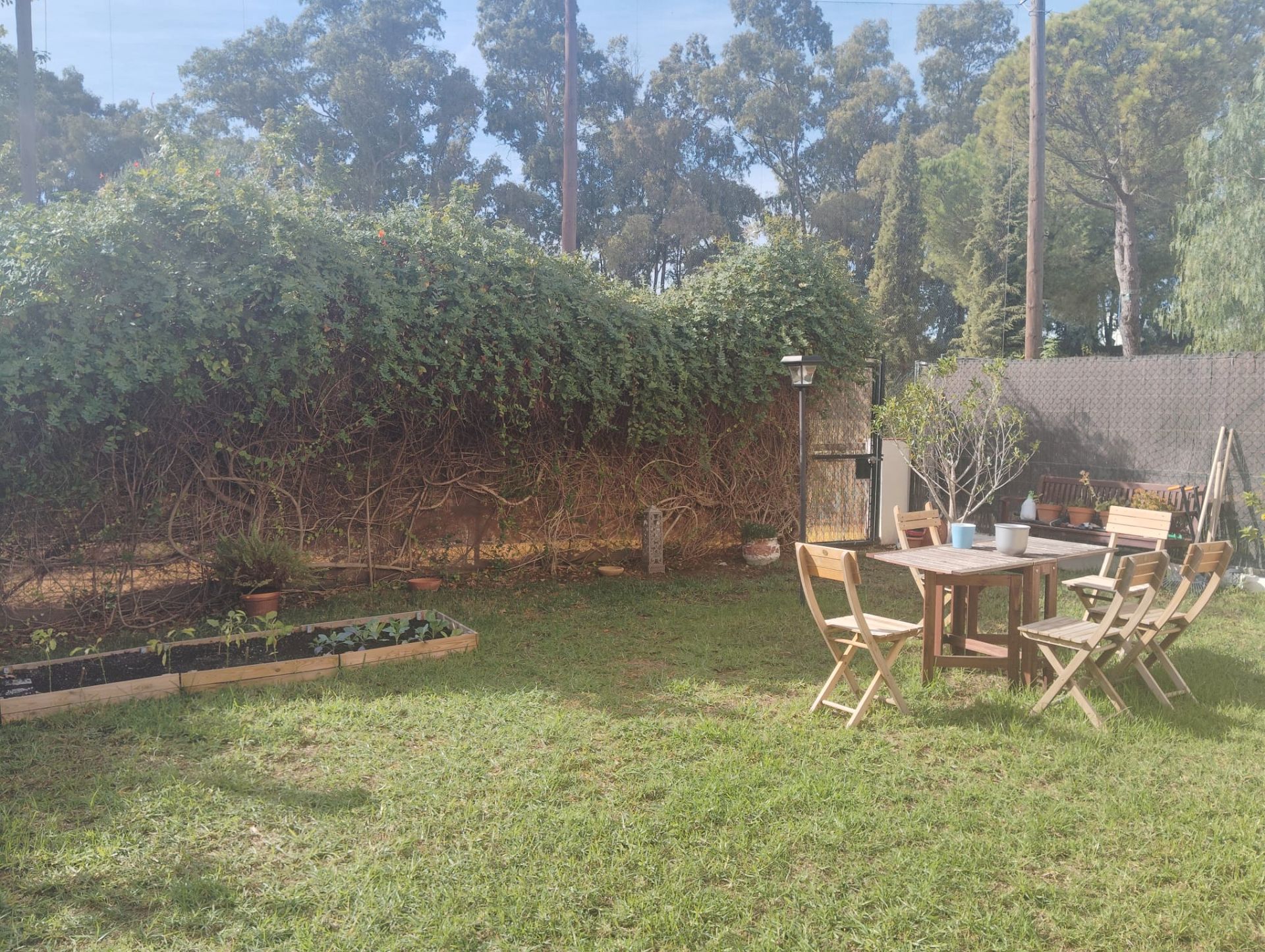 Jardín de Casa o chalet de alquiler en Guillena con Aire acondicionado, Calefacción y Jardín privado