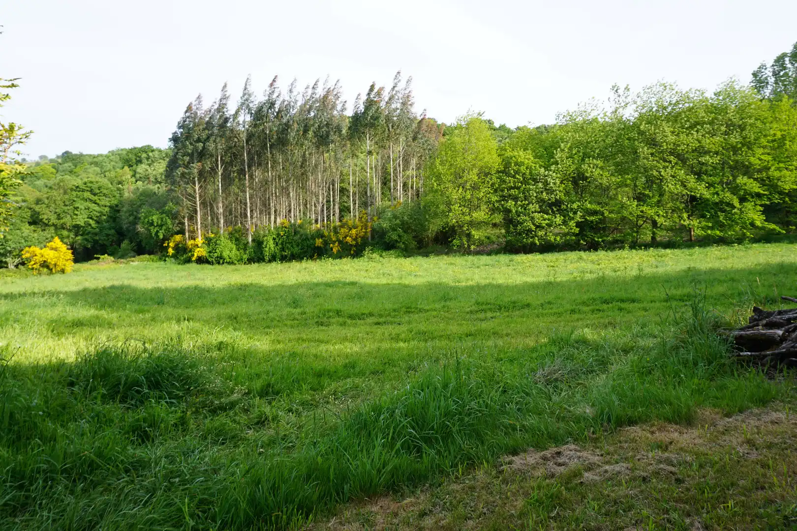 Maison à vendre à Friol, imagen 31