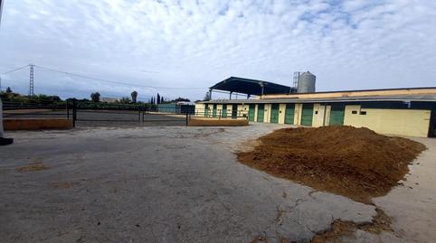 Foto 3 de Finca rústica en venda a El Tomillar, Málaga