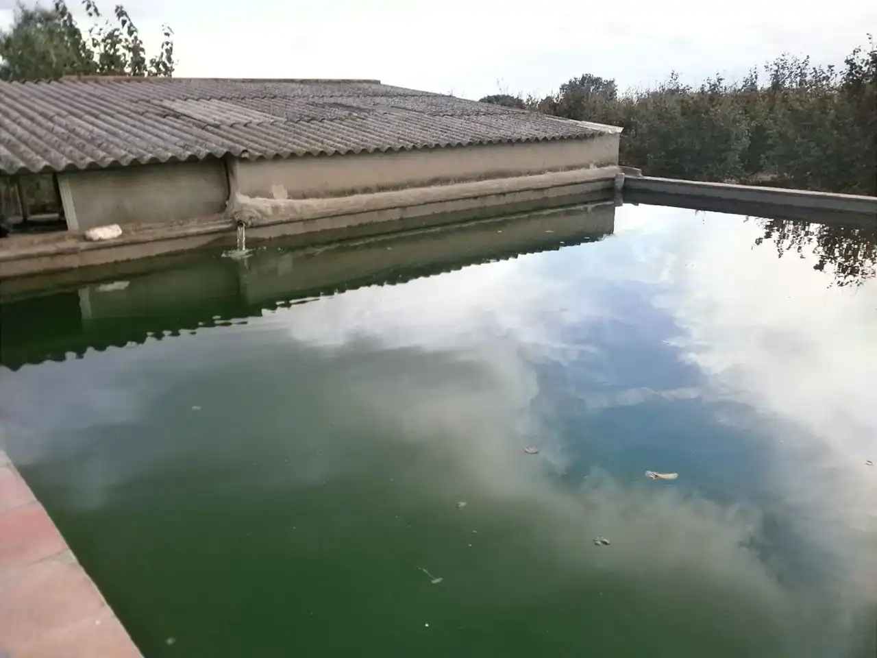 Rural land for sale in Castellvell del Camp, imagen 15