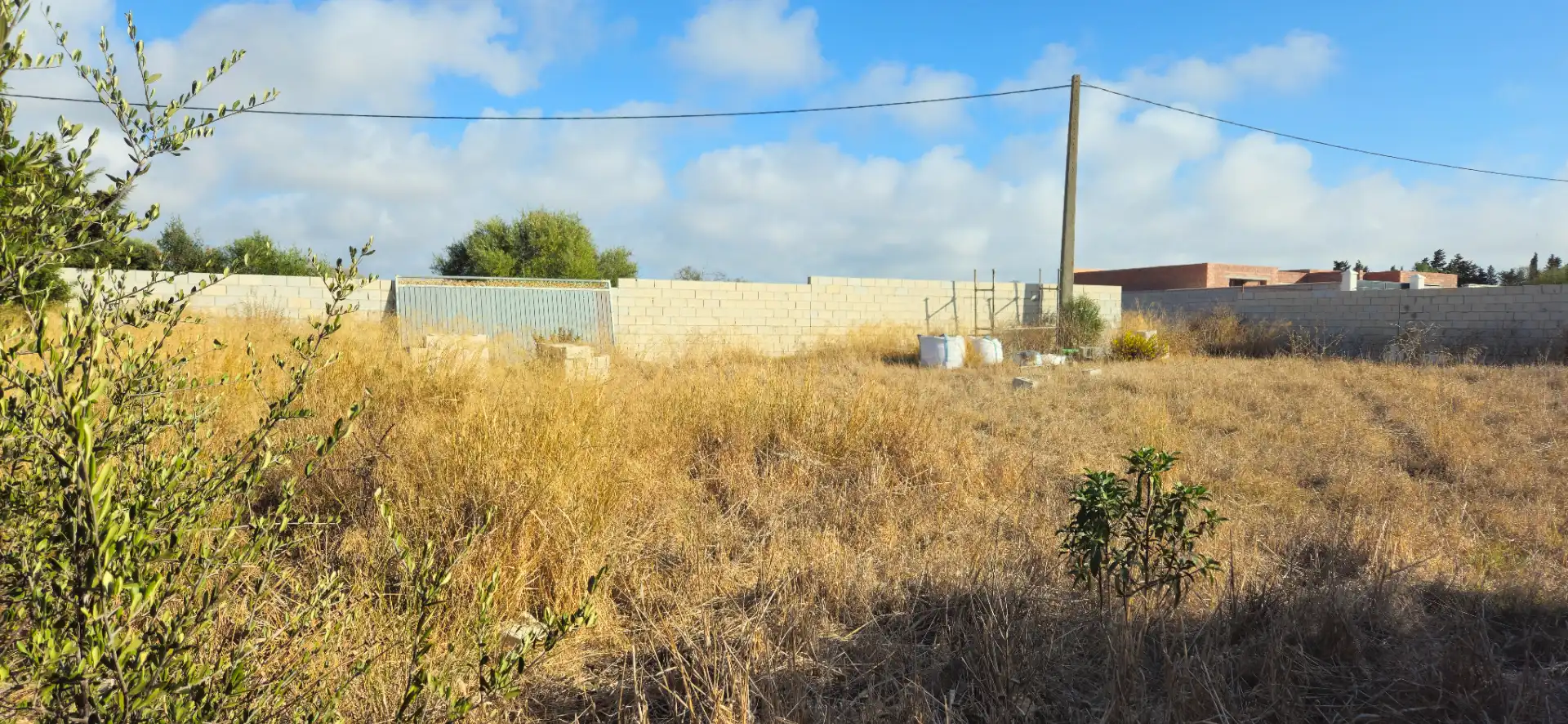 Terreno rustico in vendita a La Soledad, imagen 5