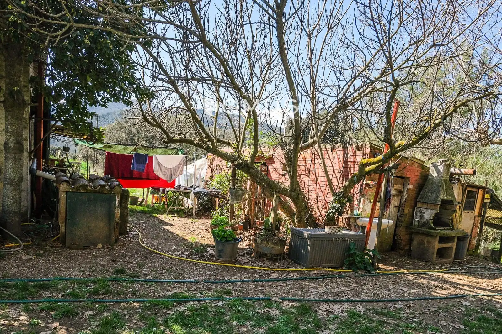 Jardín de Finca rústica en venta en Besalú con Jardín privado