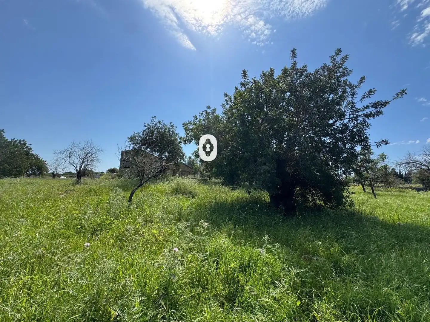 Residential for sale in Polígono 15 Parcela 49 SON MORRO. SELVA (ILLES BA, Selva