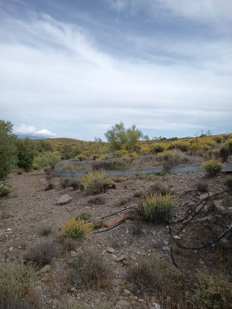 Terreno rustico in vendita a Alboloduy, imagen 28