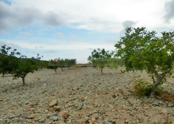 Rural land for sale in Pasaje Valdelentisco 25, imagen 6
