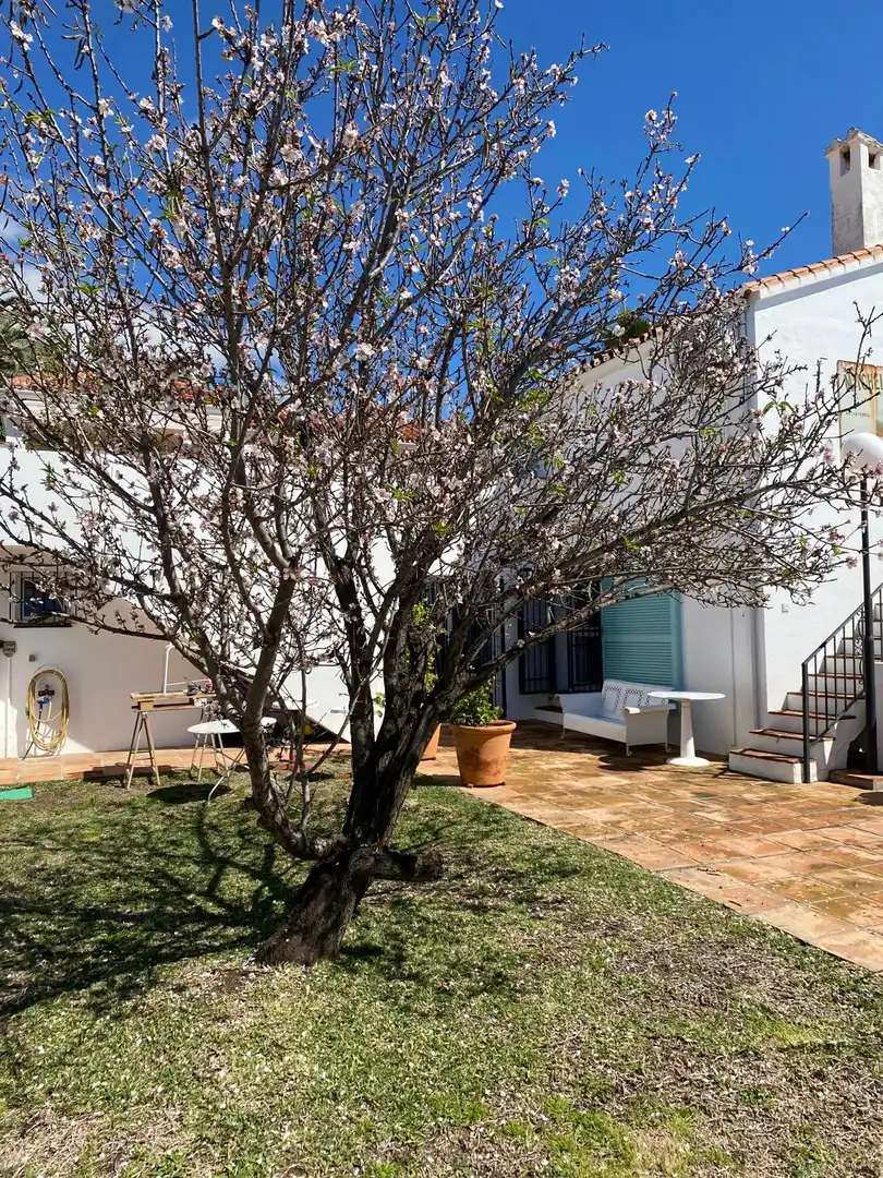 Casa amb piscina en venda a Selwo, imagen 43