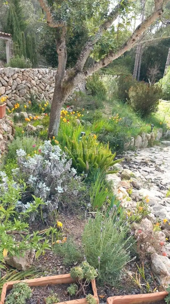 Villa à vendre à Polígono 19, imagen 35
