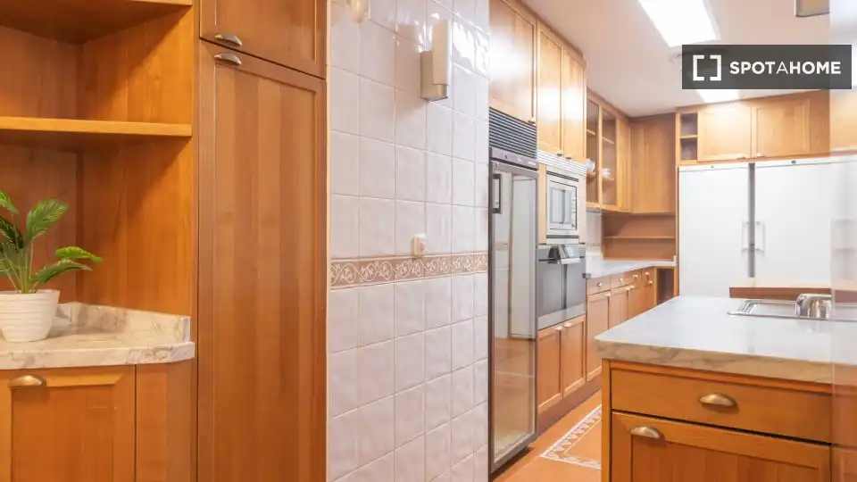 Kitchen of Flat for rent in Madrid  with Air Conditioner, Heating and Furnished