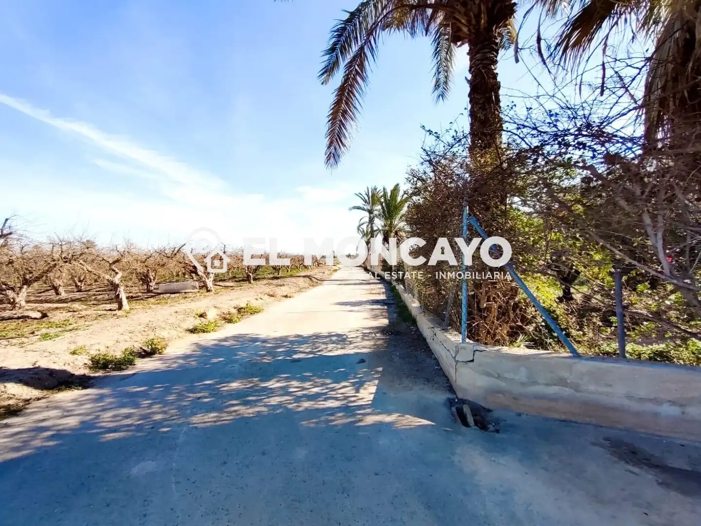 Casa o xalet en venda en Elche / Elx amb Aire condicionat, Calefacció i Jardí privat