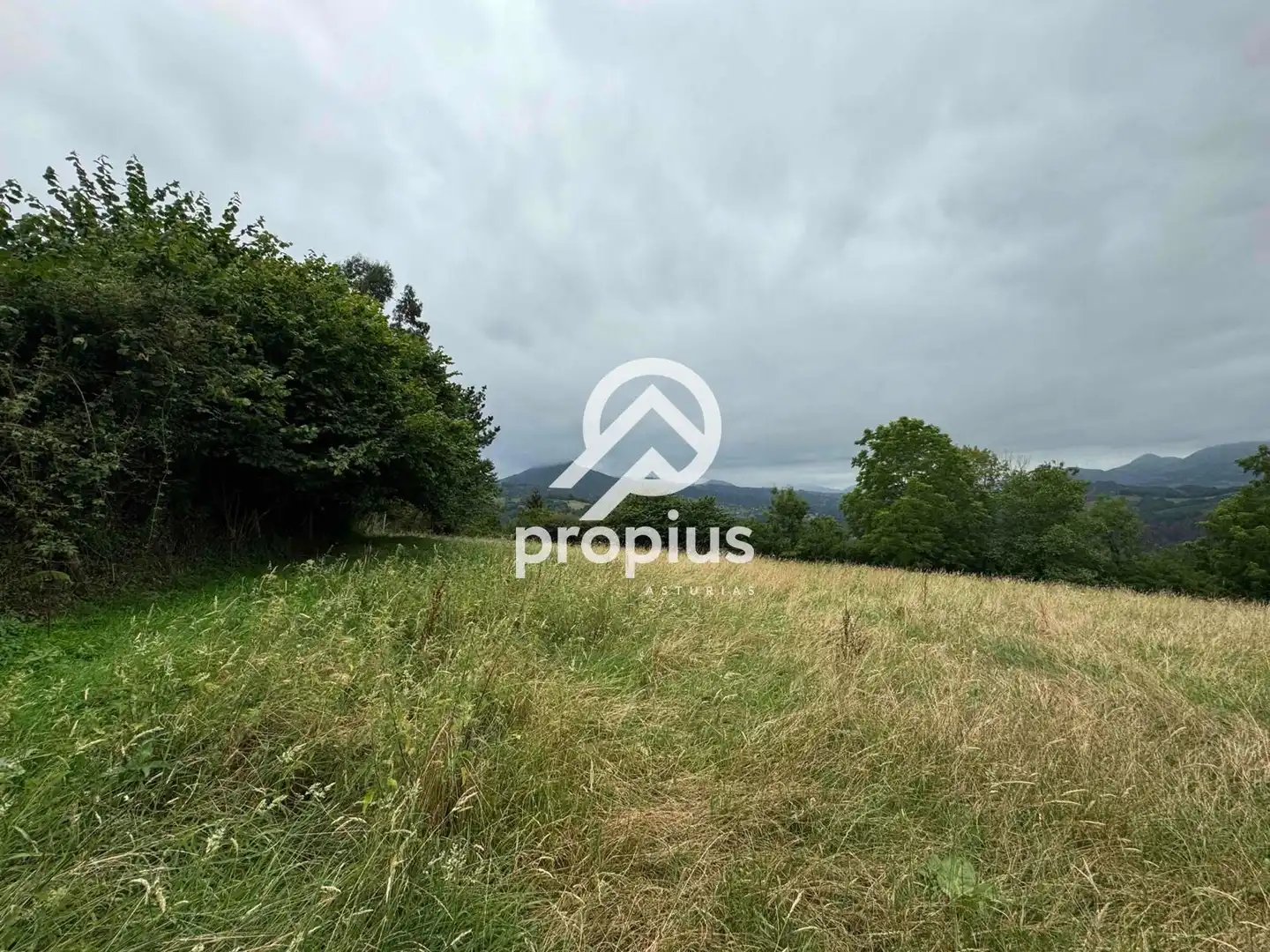 Rural land for sale in Arenas, imagen 24