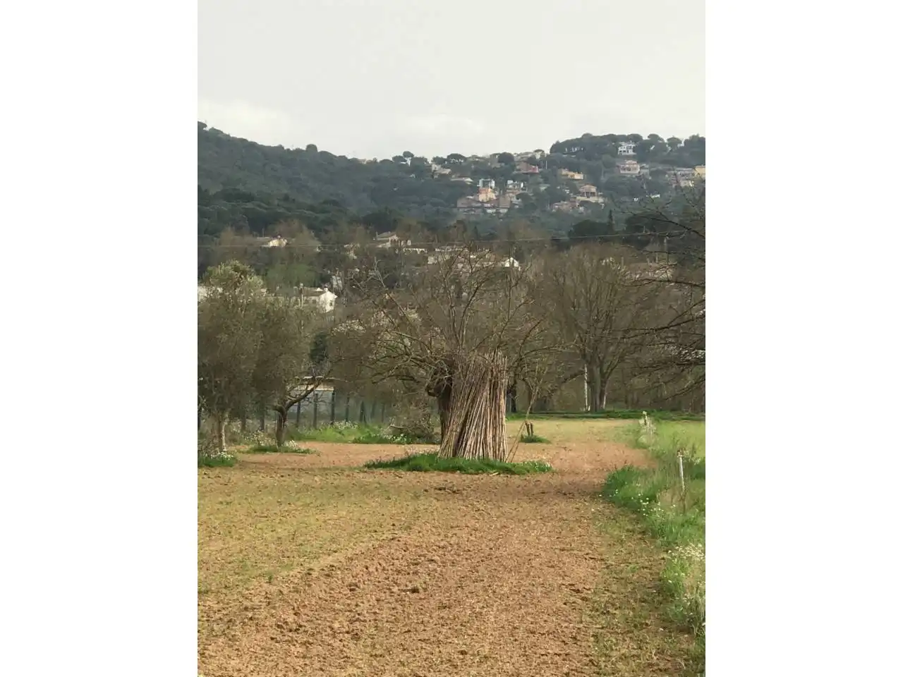Rural land for sale in Vilanova del Vallès, imagen 3
