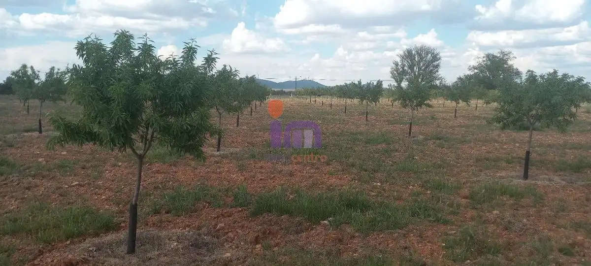 Finca rústica en venda en Valdepeñas
