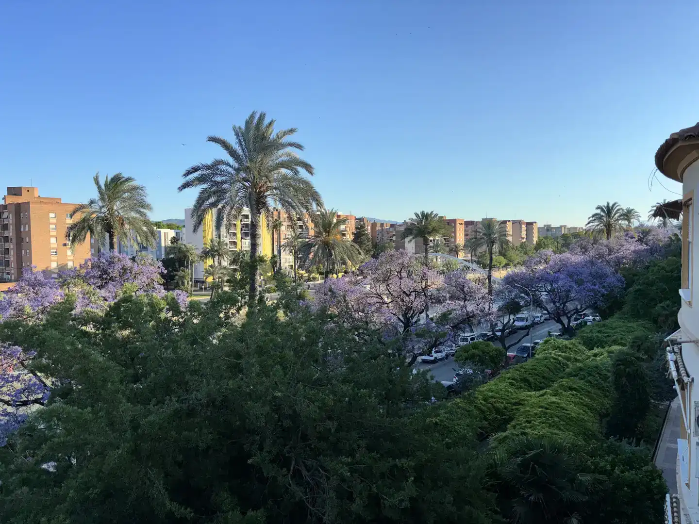 Vista exterior de Pis en venda en  Murcia Capital amb Balcó