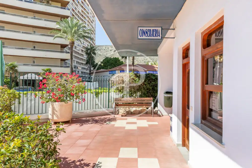 Appartamento con terrazza in affitto a Carrer Ciutats Unides, imagen 46