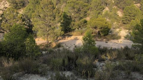 Foto 2 de Residencial en venta en Fontanares, Lorca