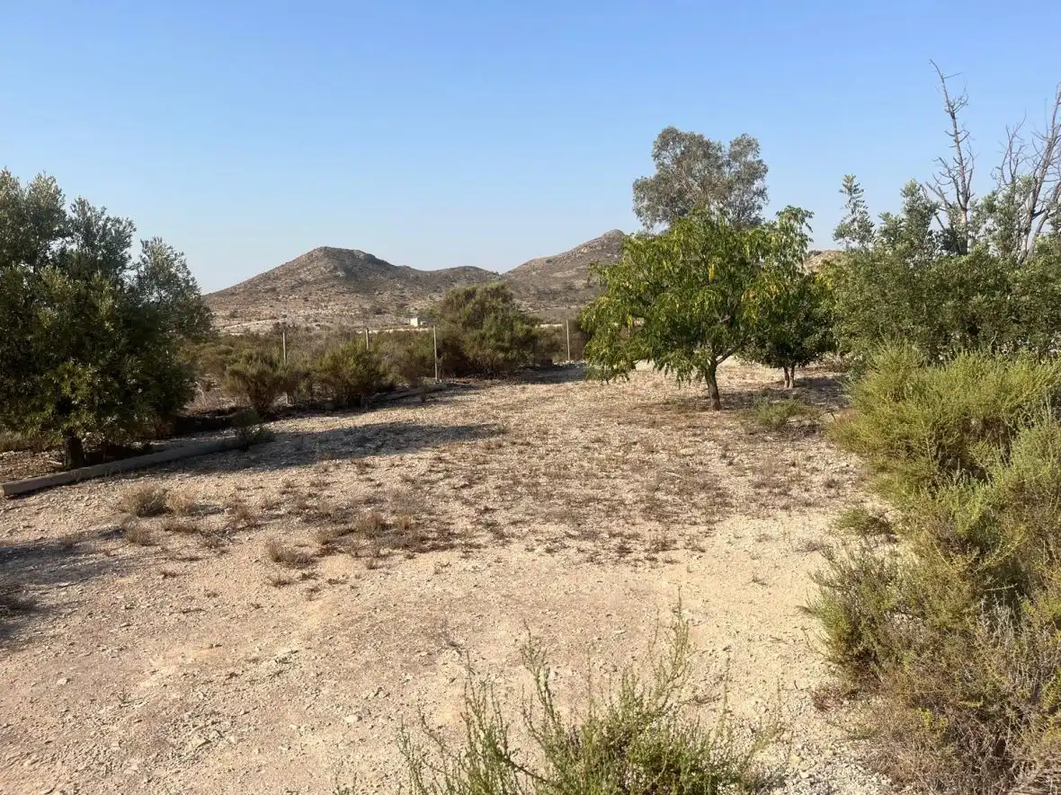Casa rústica en venta en Partida de la Escandella, imagen 7
