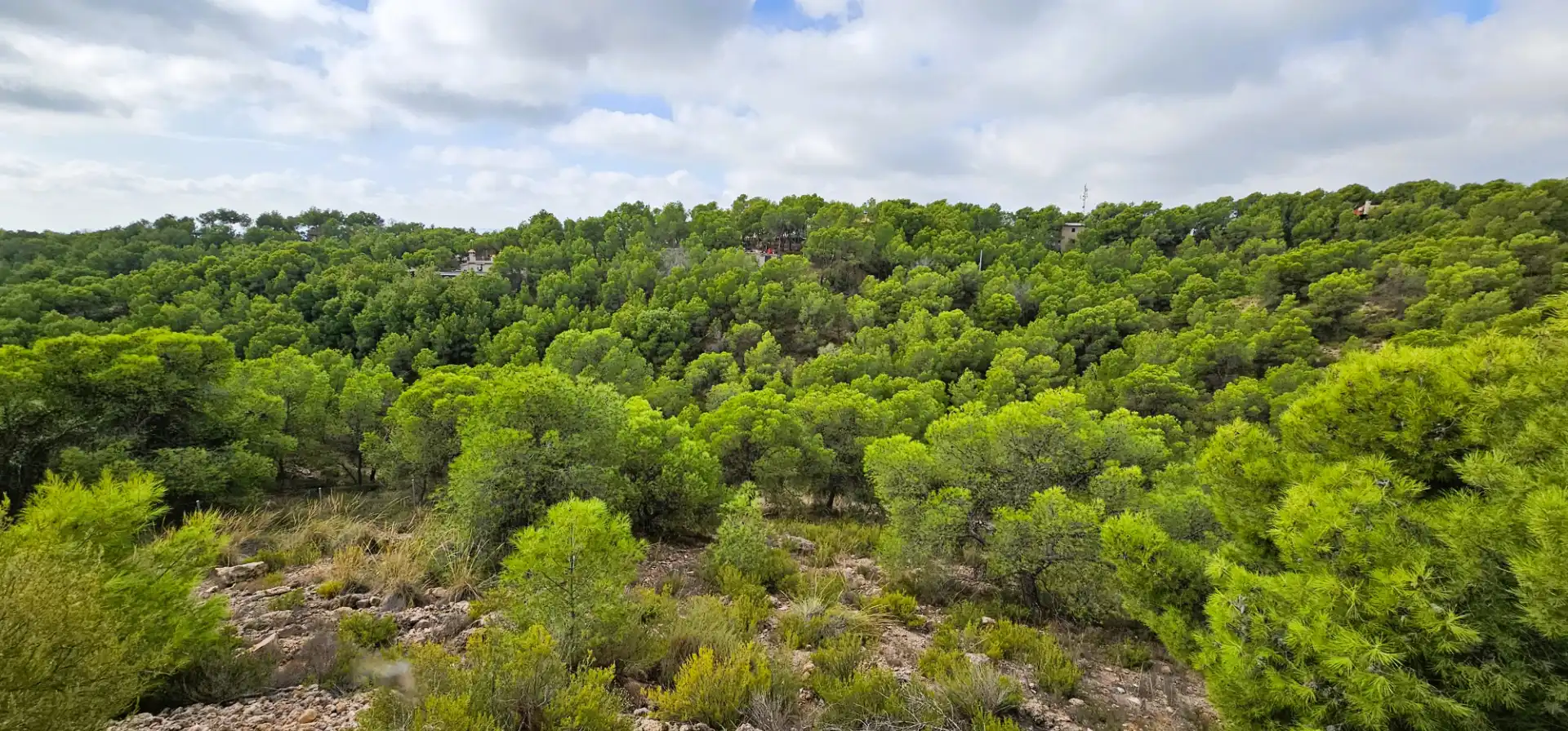 Casa o chalet en venta en Totana con Calefacción, Jardín privado y Terraza
