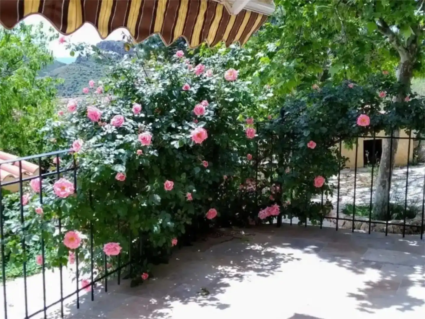 Jardí de Finca rústica en venda en Elche de la Sierra amb Jardí privat, Traster i Piscina