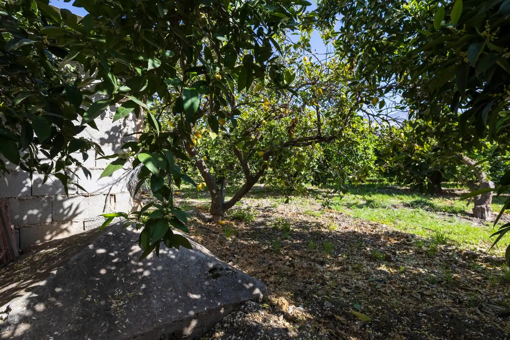 Jardí de Residencial en venda en Lecrín