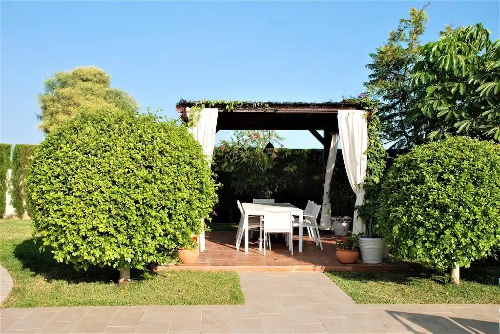 Casa o chalet en venta en Centro de la Ciudad Quesada