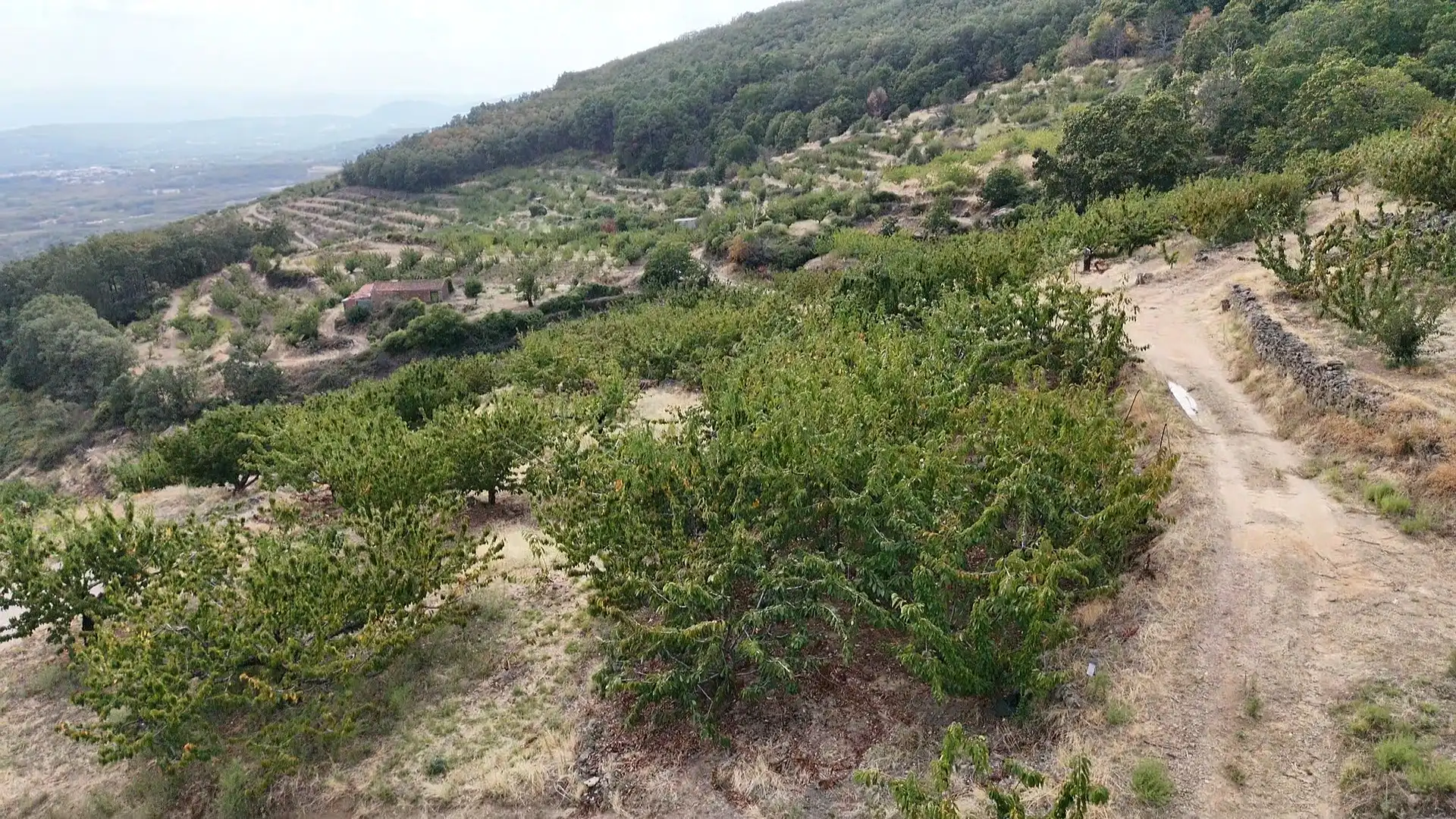 Terrain rustique à vendre à Avenida Extremadura 72, imagen 12