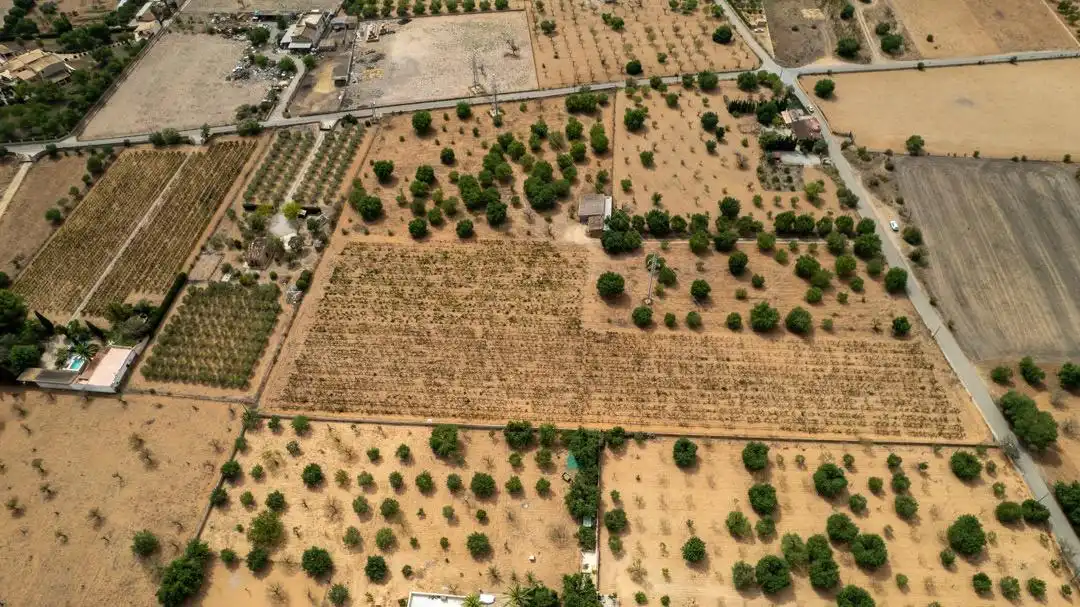 Land for sale in Consell